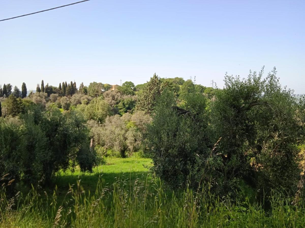 Apartamento I Tre Poeti Saturnia